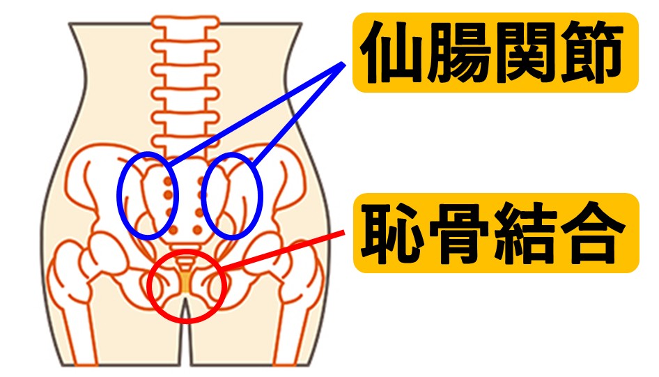 Y㍜Ջ,s,YPA,Yイ,@,ˌ